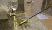 Relaxation GIF