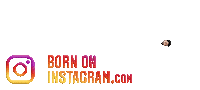 Kgf Blogs Sticker by BORN ON INSTAGRAM