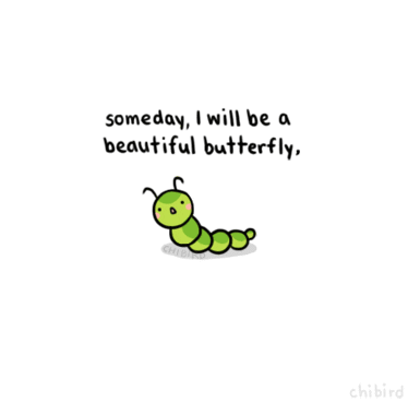 butterfly worm GIF