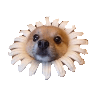 puppy flower crown STICKER by imoji