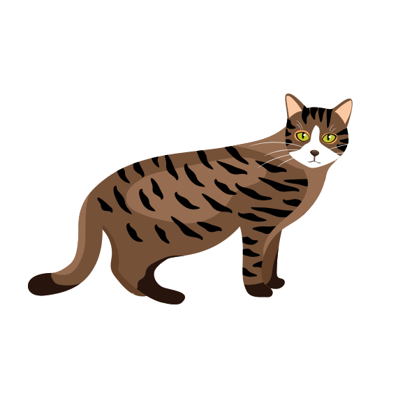 Gente Anjo Sticker by Frontline Brasil