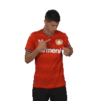 Proud Club Love Sticker by Bayer 04 Leverkusen