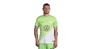 Football Applause Sticker by VfL Wolfsburg