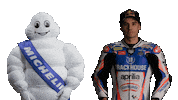Motogp Bibendum Sticker by Michelin