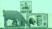 Music Video Rock GIF by Mayday Parade