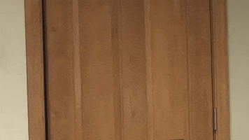 PRCCAthletics wildcats juco prcc pearl river GIF