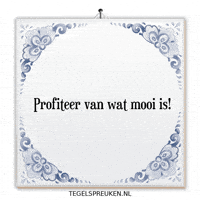 Humor Moment GIF by Tegelspreuken.nl