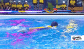 swimming pool summer GIF by SWR Kindernetz