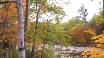 new hampshire GIF