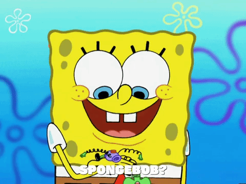 season 5 episode 3 GIF by SpongeBob SquarePants