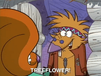 nickrewind nicksplat angry beavers GIF
