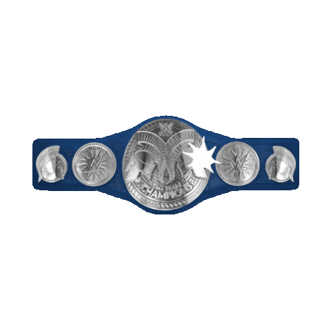 championship belt sport Sticker by WWE
