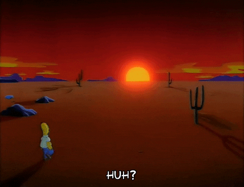 homer simpson GIF