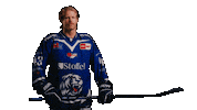 Samuelsson Sticker by Straubing Tigers
