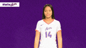 Purple Aces Evansville GIF by UE Athletics
