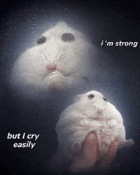 Stars Im Strong GIF