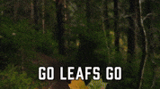 Toronto Maple Leafs Sport GIF by Sealed With A GIF