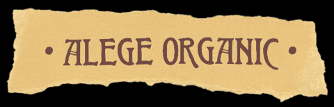 Vintage GIF by Dr.Soil