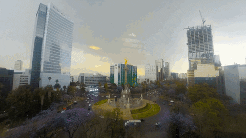mexico city GIF