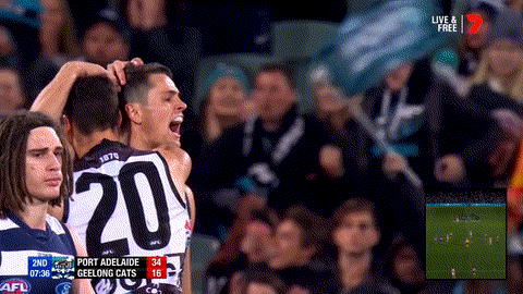 Aussie Rules Celebrations GIF by AFL