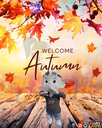 Fall Season GIF by Zhot