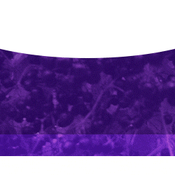 syrup GIF