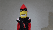 Sad Oh No GIF by Ball State University