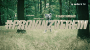 Soccer Bundesliga GIF by VfL Wolfsburg