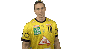 Handball-Bundesliga Handball Sticker by LIQUI MOLY HBL