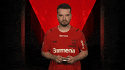 Bayer Leverkusen Football GIF by Bundesliga