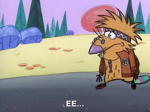 nickrewind giphydvr nicksplat angry beavers giphyab017 GIF