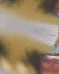 Formula 1 Williams GIF