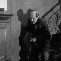 fauteuil post brief liebesbrief militär GIF