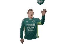 Celebration Sticker by Elverum Handball