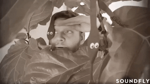 in the bushes touring on a shoestring GIF by Soundfly