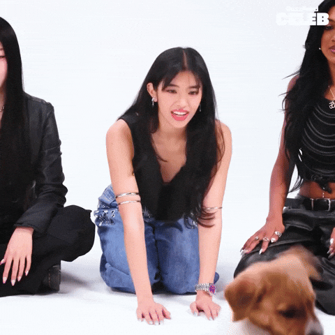 Girl Group Puppy GIF by BuzzFeed