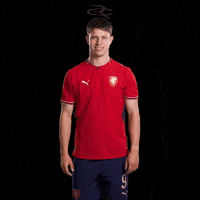 Fifa World Cup Uefa GIF by Respective