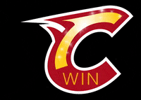 meudonhockeyclub hockey win shining meudon GIF