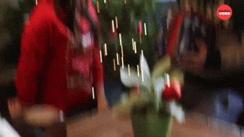 Christmas Time!