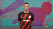 Eintracht Frankfurt GIF by Bundesliga
