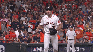 Lets Go Yes GIF by MLB