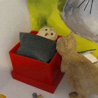 Sleep Box GIF