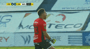 La Liga Alajuelense GIF by TD Más