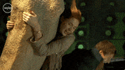 Landing Matt Smith GIF by Doctor Who