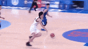 world cup japan GIF by FIBA