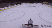 happy ice hockey GIF by NHL