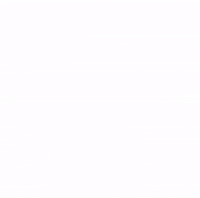 padova teatroanatomico GIF by VISIT UNIPD