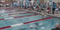 GIF by Michigan Athletics