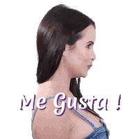 Me Gusta I Like It Sticker by Michis Miami
