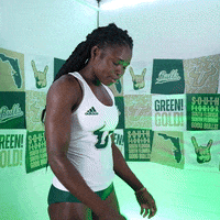 South Florida Horns Up GIF by USF Athletics